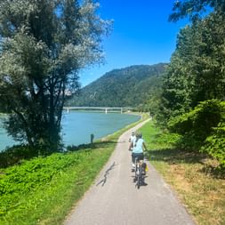 Radweg an der Donau