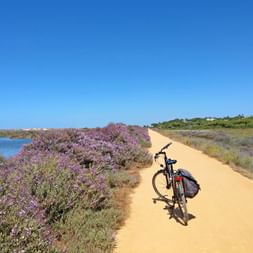 Cycle path in the Algarve