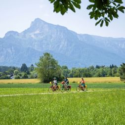 Three cyclists riding through green fields on Hellbrunner Allee near Salzburg with the Untersberg mountain in the background under blue sky.