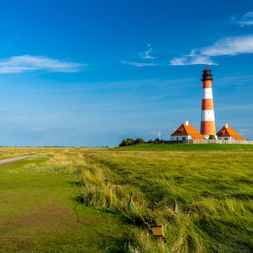 Lighthouse in the landscape