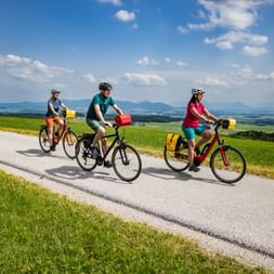 Three cyclists with helmets and panniers riding on a paved path through green fields near Buchberg, with Alpine mountains visible in the distance.