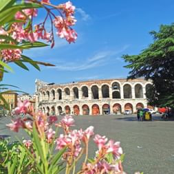 Verona Arena, an ancient Roman amphitheater with characteristic arches, framed by pink oleander flowers. Blue sky and trees visible in the square.