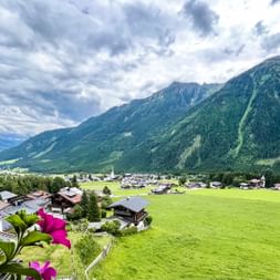 Alpine valley view with village houses, green meadows, and forested mountains under cloudy sky. Pink flowers in foreground, church visible in village.