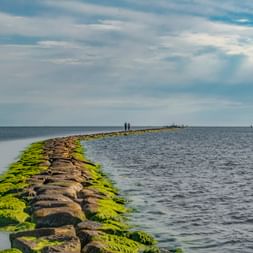 Long stone breakwater covered with green algae extending into the Baltic Sea in Pärnu. Two people stand at the end under a cloudy sky.