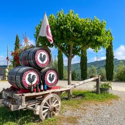 Castagnoli Winery Cantina Cantalici Wine barrels