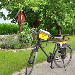 Rental Bike Plus on the Alpe-Adria Cycle Path