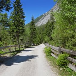 Gravel cycling path with wooden fences through lush forest, leading toward a rocky mountain under blue sky along the Isar route near Munich.