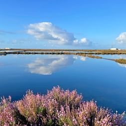 Salzsee Ria Formosa