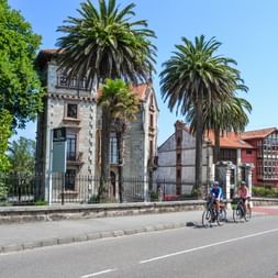 Bicycle Lane