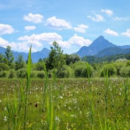 Lake Weissensee moor