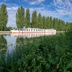 Weißes Flusskreuzfahrtschiff MS Florentina an ruhiger Wasserstraße, umgeben von hohen Pappeln und üppiger grüner Vegetation unter blauem Himmel.