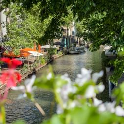 Blick auf Utrechts Oudegracht-Kanal mit historischen Gebäuden, vertäuten Booten und Wassercafés, eingerahmt von üppigem Grün und Blumen.
