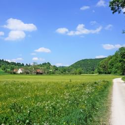 Lauertal Radweg mit grüner Landschaft