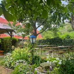 Blühender Gastgarten bei Heurigem