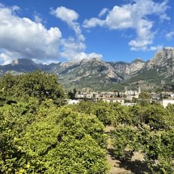 Sóller