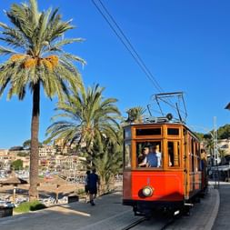 Orange vintage tram traveling along the waterfront promenade in Port de Sóller, Mallorca, with palm trees and beach in the background.