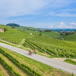 Cyclist with Langhe panorama