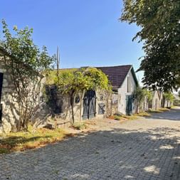 Cellar alley on the cherry blossom cycle path