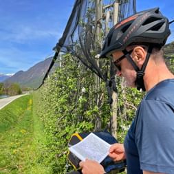 Cyclist with helmet studying a map beside apple trees in Brixen. Mountains and a cycling path are visible in the background under blue sky.