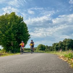 Two cyclists riding on a straight country road in Provence-Camargue with green fields, trees, and blue sky with white clouds.
