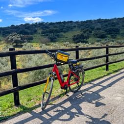 Rad lehnt an einem Zaun mit Blick auf die andalusische Landschaft