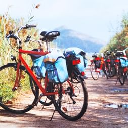 Eurobike-Räder auf der Zehn Seen-Rundfahrt