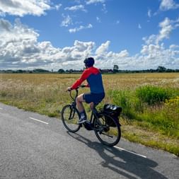 Radfahrer in rot-blauem Trikot fährt auf asphaltierter Straße durch goldene Getreidefelder unter blauem Himmel mit weißen Wolken bei Hamburg-Lübeck.