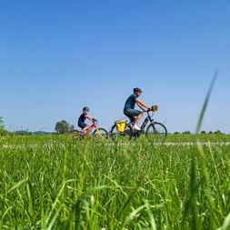 Two cyclists riding along a path through green meadows under blue sky on the Isar bike path near Bad Tölz, with mountains in the distance.