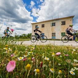 Cyclists