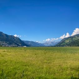 Expansive green meadow with mountain valley view near Zeller See. Alpine peaks and villages visible under blue sky with white clouds.