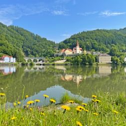 Blick auf Melk an der Donau mit Kirchturm, Steinbrücke und bunten Häusern, die sich im ruhigen Wasser spiegeln. Gelbe Wildblumen im Vordergrund.