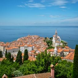 Aerial view of Piran's old town on a peninsula with orange-tiled roofs, white church tower, and cypress trees overlooking the blue Adriatic Sea.