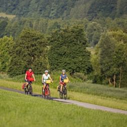Drei Radfahrer auf einem asphaltierten Weg durch grüne Wiesen in der Region Main-Spessart-Taubertal mit bewaldeten Hügeln im Hintergrund.