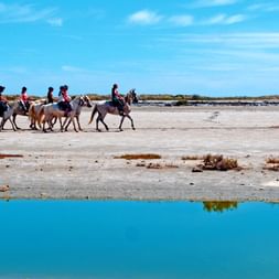 Equestrians besides the sea