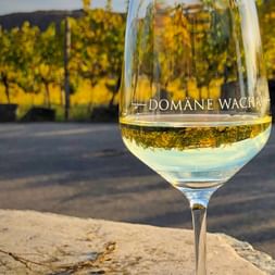 Wine Domäne Wachau