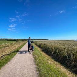 Cyclist riding on paved path between agricultural fields under blue sky on Berlin-Stralsund route.