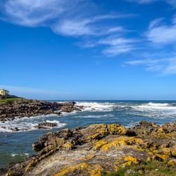 Rocky coastal landscape in A Guarda with yellow lichen-covered rocks, waves breaking on shore, and houses on hillside under blue sky.