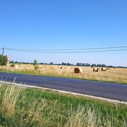 Field with straw bales in Arak
