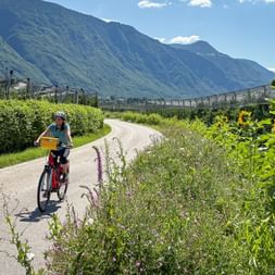 Radfahrerin auf asphaltiertem Radweg bei Lana mit Apfelplantagen, Sonnenblumen und Bergkulisse unter blauem Himmel.