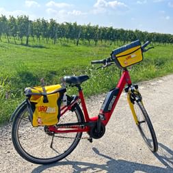 Eurobike e-bike on cycle path