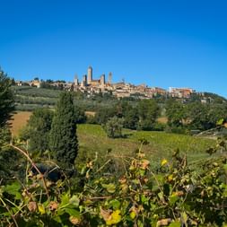 Mittelalterliche Hügelstadt San Gimignano mit markanten Türmen über der toskanischen Landschaft mit Weinbergen und Olivenhainen.