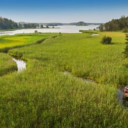 Wooden boardwalk with visitors extending through green wetland meadow to Osterseen lake. Forest-lined shores and blue sky visible in background.