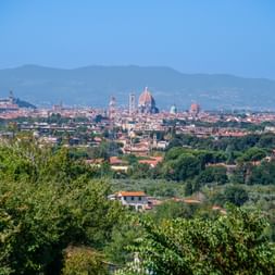 Panoramic view of Florence skyline with the iconic Duomo cathedral dome and bell tower. Green vegetation in foreground, mountains in background.