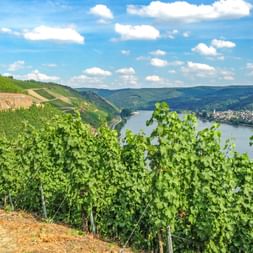 View to Boppard