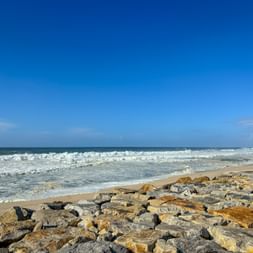 Waves on the beach