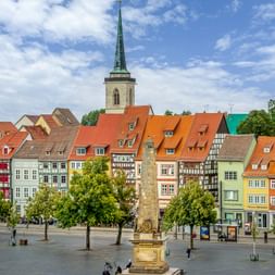 Erfurt Cathedral Square with colorful half-timbered houses, red-tiled roofs, and a church tower with green spire. Trees line the square.