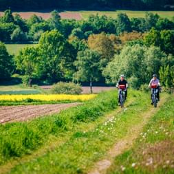 Zwei Radfahrer auf einem ländlichen Weg durch grüne Felder im Weserbergland. Sanfte Hügel mit Bäumen und Ackerland im Hintergrund.