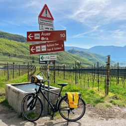 Signpost