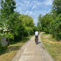 Cyclist riding on tree-lined Canal du Midi bike path under blue sky. Lush green vegetation and flowering bushes frame the paved trail.