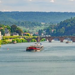 The ‘Old Bridge’ of Heidelberg